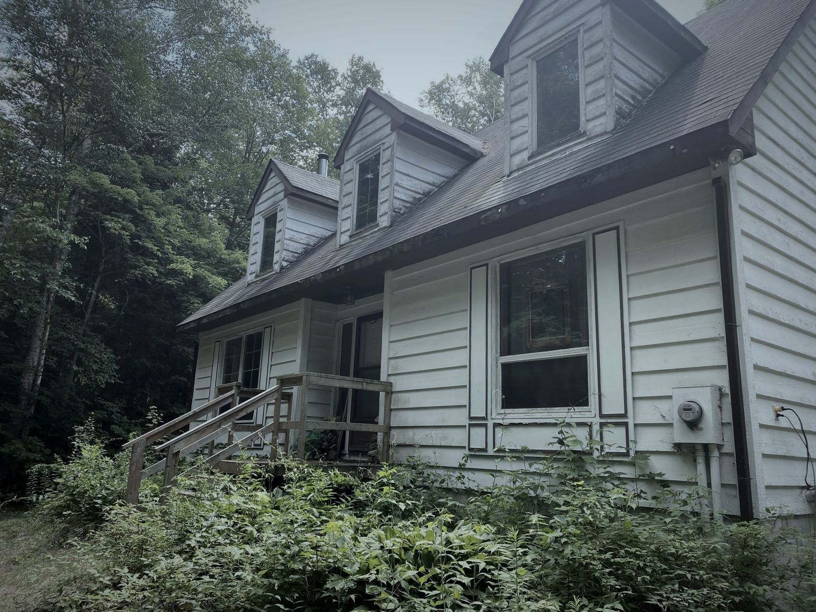 Side of the cabin half hidden by trees and brush
